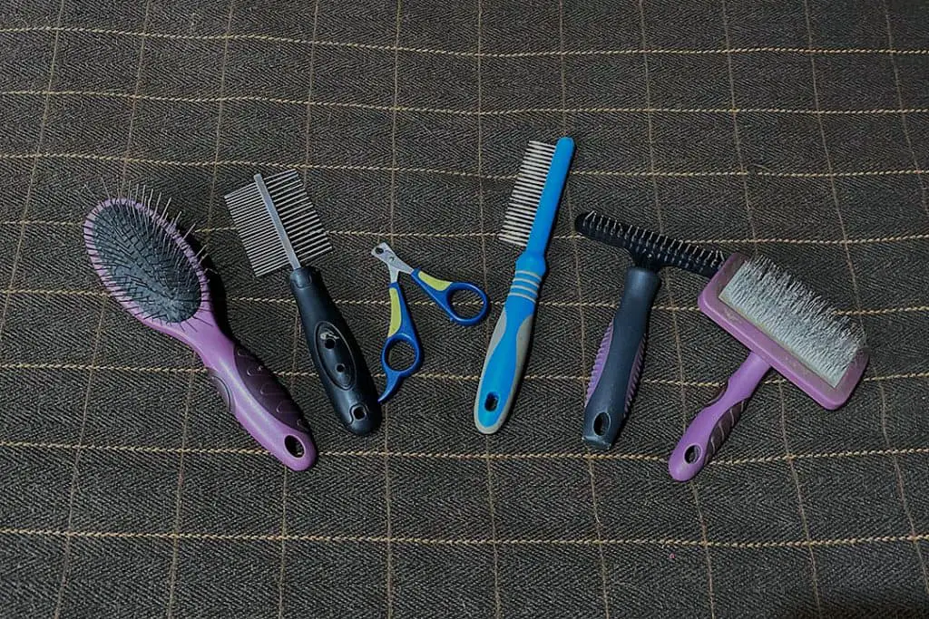 Best Brushes for Cavapoos Grooming Tips