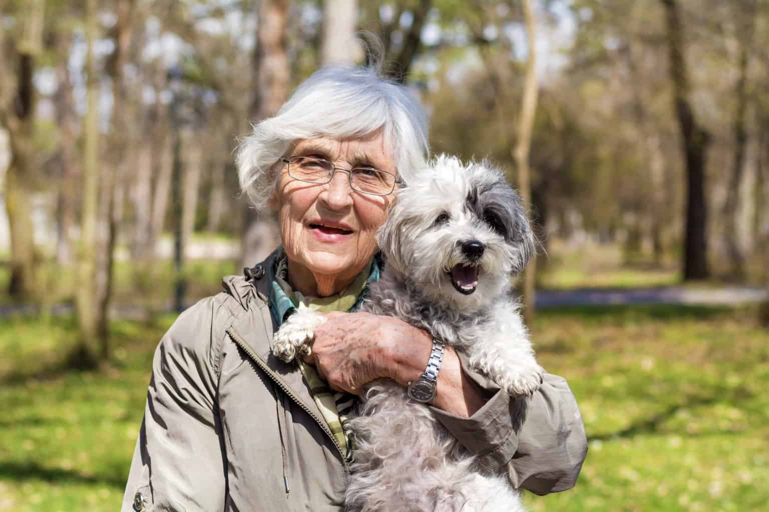 Do Poodles Make Good Pets for Seniors?